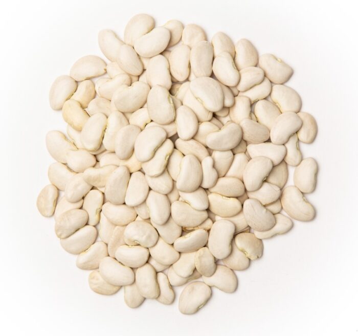 Lima Beans (Dried) - Bulk