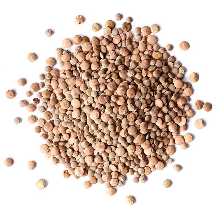 Red Lentils - Whole