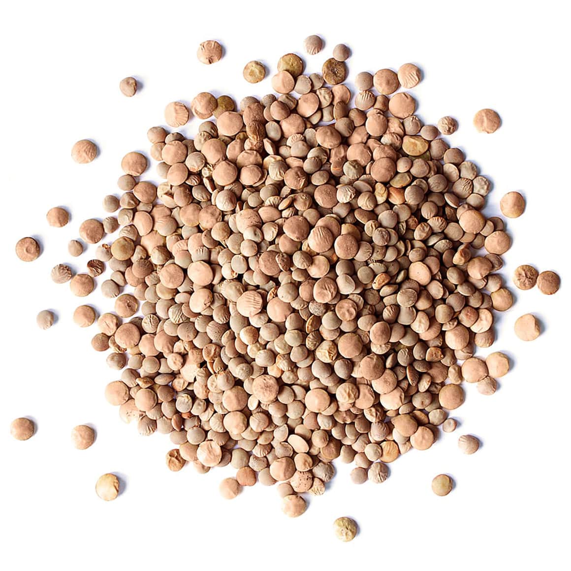 Organic Red Lentils Whole Min 