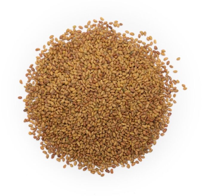 Alfalfa Seeds - Bulk