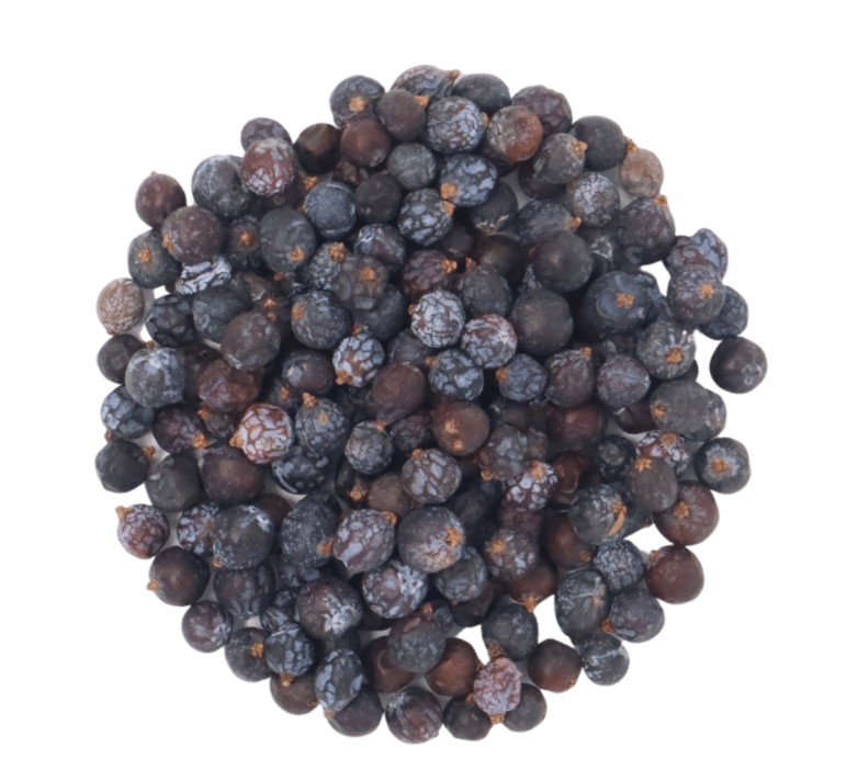 Small dark blue to purple brown round dried juniper berries piled in a loose circle in fromt of a white background