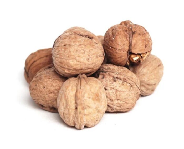 Tasmanian Walnuts in the Shell - Bulk